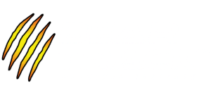 Bear Track Trailers